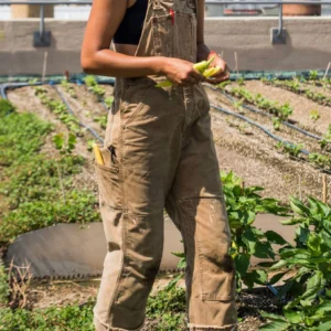 Canvas tuinbroek voor dames